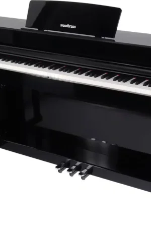 Woodbrass DP2 MK2 Noir Brillant - STOCK B | Incontournable