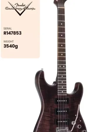 Fender Custom Shop 65 Stratocaster Relic Ebony Transparent - Top des ventes