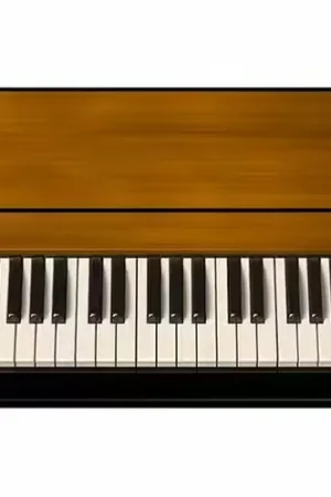 Meilleure vente - Arturia Clavinet V