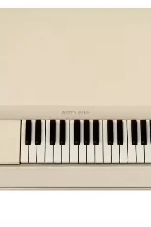 Arturia Mellotron V | Prix usine