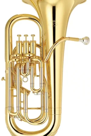 Coup de cœur - Yamaha YEP642 Neo Sib Verni