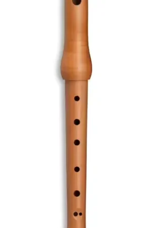 Haute qualité | Mollenhauer Picco Soprano 8105 - Poirier (doigté Baroque)