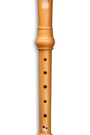 Mollenhauer Denner Soprano 5107 - Poirier (doigté Baroque) | Dernières pièces