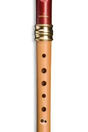 Tout juste disponible - Mollenhauer Reve D'adri Soprano 1119R - Poirier et Plastique (doigté Baroque)