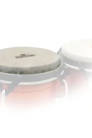Latin Percussion Peau De Bongo 7,25 Matador Wood / Fiberglass / Custom | Commandez maintenant