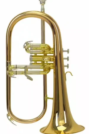 Tout juste disponible - Roy Benson Bugle Sib D'etude Roy Benson FH-302G