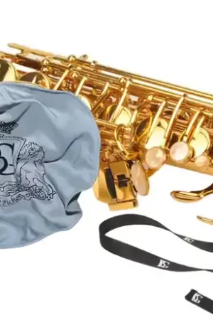 BG France Écouvillon Mousse - Sax Alto/clar/flute Basse | Produit phare