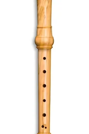Mollenhauer Denner Soprano 5123 - Olivier (doigté Baroque) | Qualité professionnelle