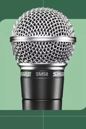 Très apprécié des clients - Shure SM58