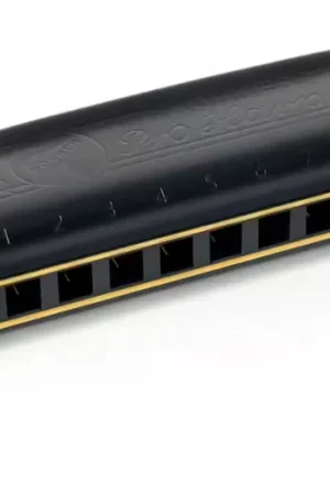 Prix choc - Hohner Pro Harp C/do - 10 Trous