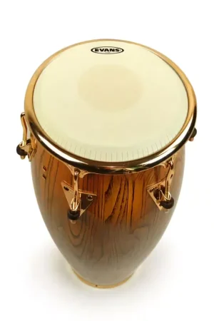 Evans EC1100e - Peau Quinto TRI-center Extended 11 - Tendance