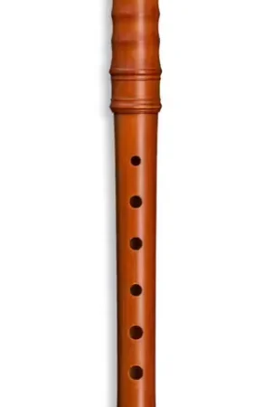 Mollenhauer Kynseker Soprano 4107 - Érable (doigté Baroque) | Meilleure vente