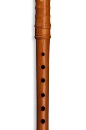 Mollenhauer Kynseker Soprano 4108 - Prunier (doigté Baroque) - Prêt à expédier