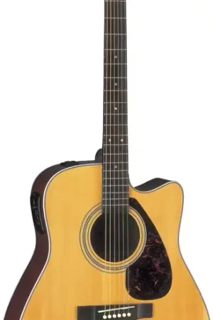 Aujourd'hui seulement - Yamaha FX370C Natural
