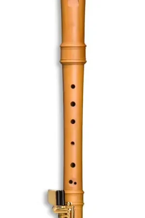 Mollenhauer Modern Soprano 5916H - Poirier (doigté Baroque) - Prix choc