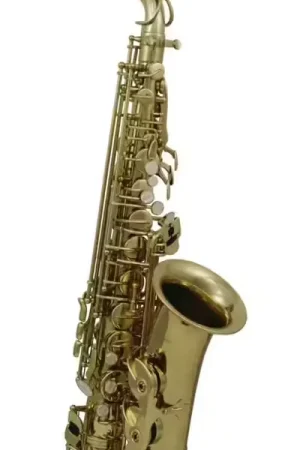 Roy Benson Alto Etude - Verni (AS-202) | Nouveau lancement