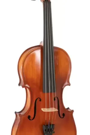 Gewa Pure Ew Violon 1/2 - Premium