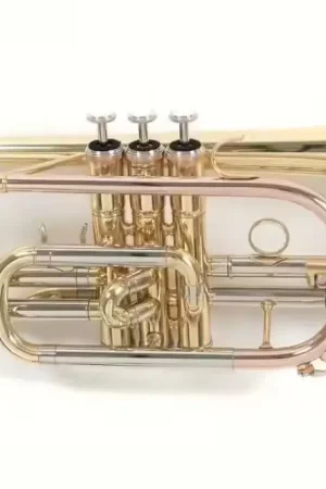 Roy Benson Cornet Sib D'etude Roy Benson CR-202 | Liquidation