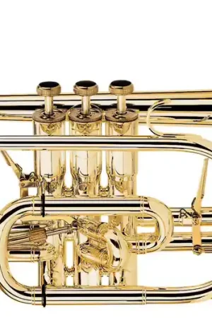 Besson Prestige Sib Verni - BE2028-1G-0 | Soldes
