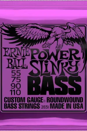 Ernie Ball 2831 Power Slinky Bass 55-110 | Nouveau chez nous