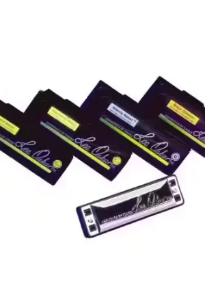 Lee Oskar Melody Maker A/la Majeur - 10 Trous - Prix bas