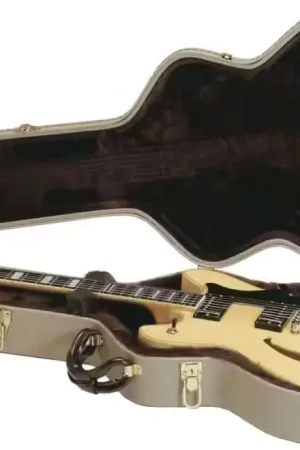 Hagstrom Étui C55 Guitare Viking | Nouveau chez nous