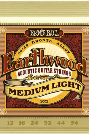 Disponible maintenant - Ernie Ball 2003 Earthwood 80/20 Bronze Medium Light 12-54