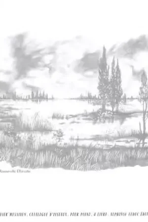 Leduc MESSIAEN OLIVIER - CATALOGUE D'OISEAUX VOL.4 - PIANO - Meilleure vente