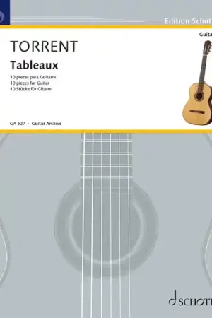 Schott Torrent - Tableaux - Guitare - Offre