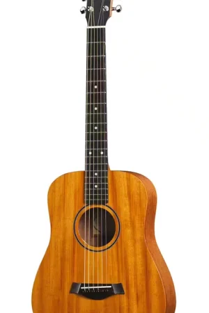 Qualité premium | Taylor Guitars BT2 Natural Baby