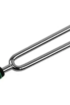 Plus que quelques pièces - D'addario And Co Tuning Fork Key Of E