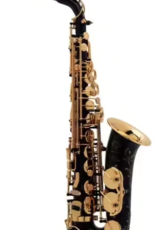 Coup de cœur | Selmer SA/80 Série II - Alto Mib Noir