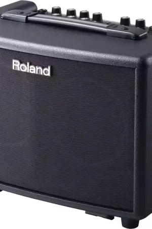 Produit tendance - Roland AC-33
