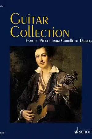 Bonne affaire | Schott Guitar Collection - Guitare