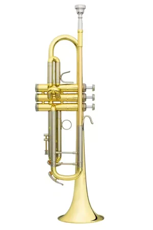 Commandez en ligne - BS Challenger I Sib Vernie - BS3137-1-0