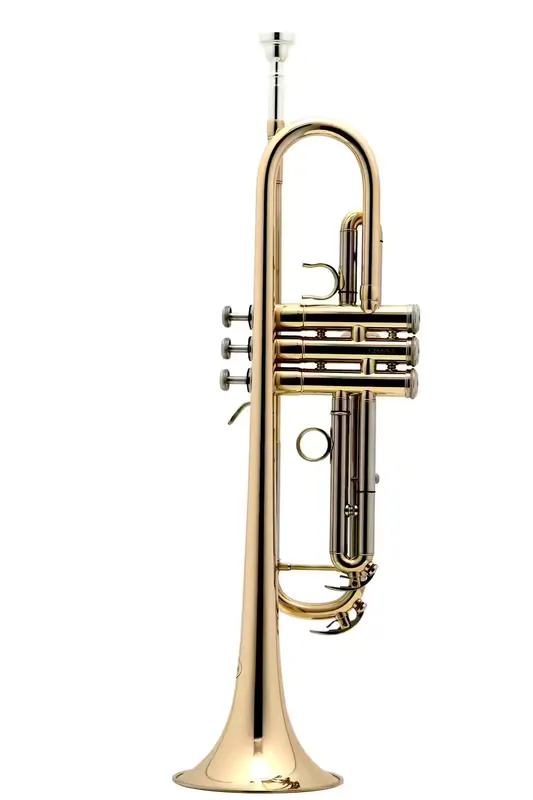 Prix malin - Besson New Standard Sib Vernie - BE110-1-0