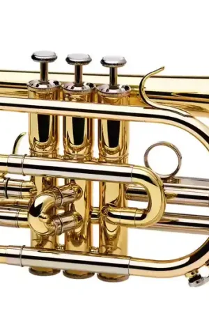 Besson Prodige 120 Sib Verni - BE120-1-0 - Premium