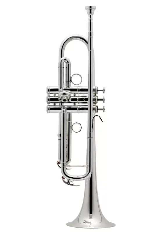 Nouveau au catalogue | Besson New Standard Sib Argentée - BE111-2-0