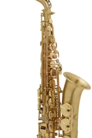 Plus que quelques jours | Selmer SA/80 Série II - Alto Mib Brossé