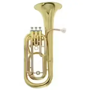 Roy Benson BH-301 - Prix promo