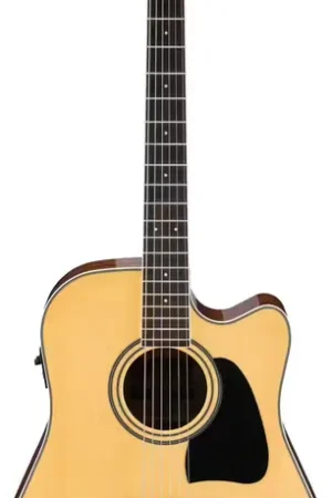 Très apprécié des clients | Ibanez AW70ECE-NT Natural Artwood