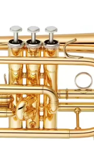 Prix choc | Yamaha YCR4330GII Sib Verni