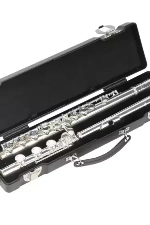 Coup de cœur | SKB 1SKB-310 - Etui Pour Flute Traversiere - Patte De Si