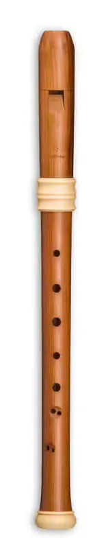 Mollenhauer Édition Rêve Alto TE-4318 - Prunier (doigté Baroque) - Coup de cœur des clients