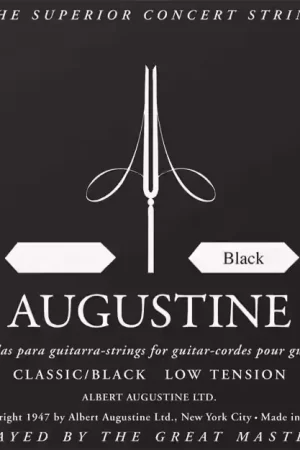 Bon plan - Augustine Mi Basse - Noir Tirant Faible (Unité)
