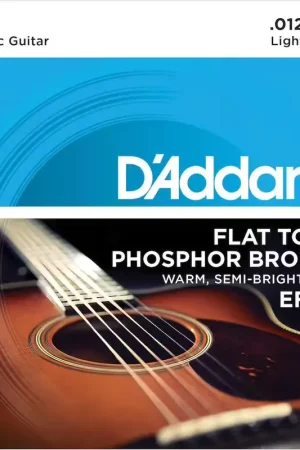 Expédition rapide - D'addario And Co EFT16 Flat Tops Phosphor Bronze Light 12-53