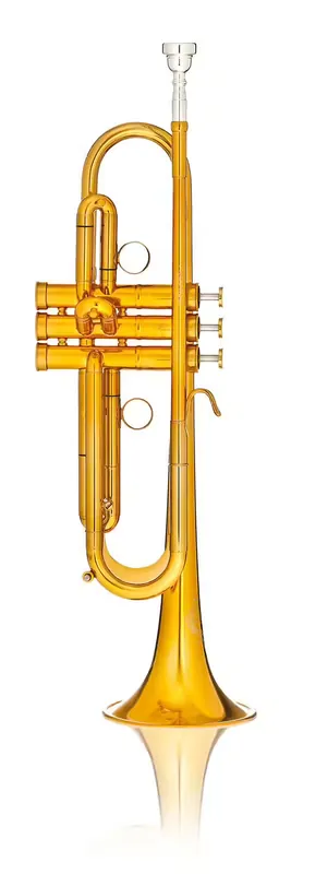 Best-seller | BS MBX2 Prestige Sib Vernie Dorée - BSMBX2LR-8-0D