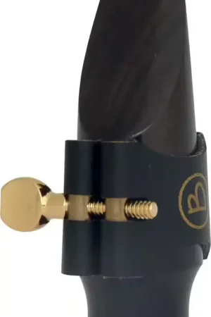 Excellente qualité - Brancher Bec Ébène L21SE - Soprano