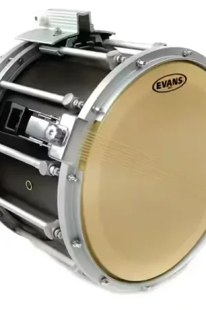 Expédition immédiate - Evans SS14MX5 - Marching Band MX5 14