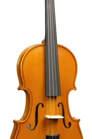 Expédition rapide | Herald Violon Massif 1/8